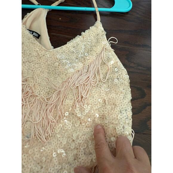 Gianni Bini Maritza Sequin and Fringe Pink Dress XS - Picture 11 of 14